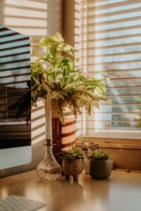 How to Create a Relaxing and Productive Home Office Environment